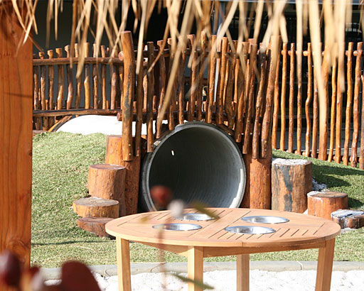 Jump Carey Early Development